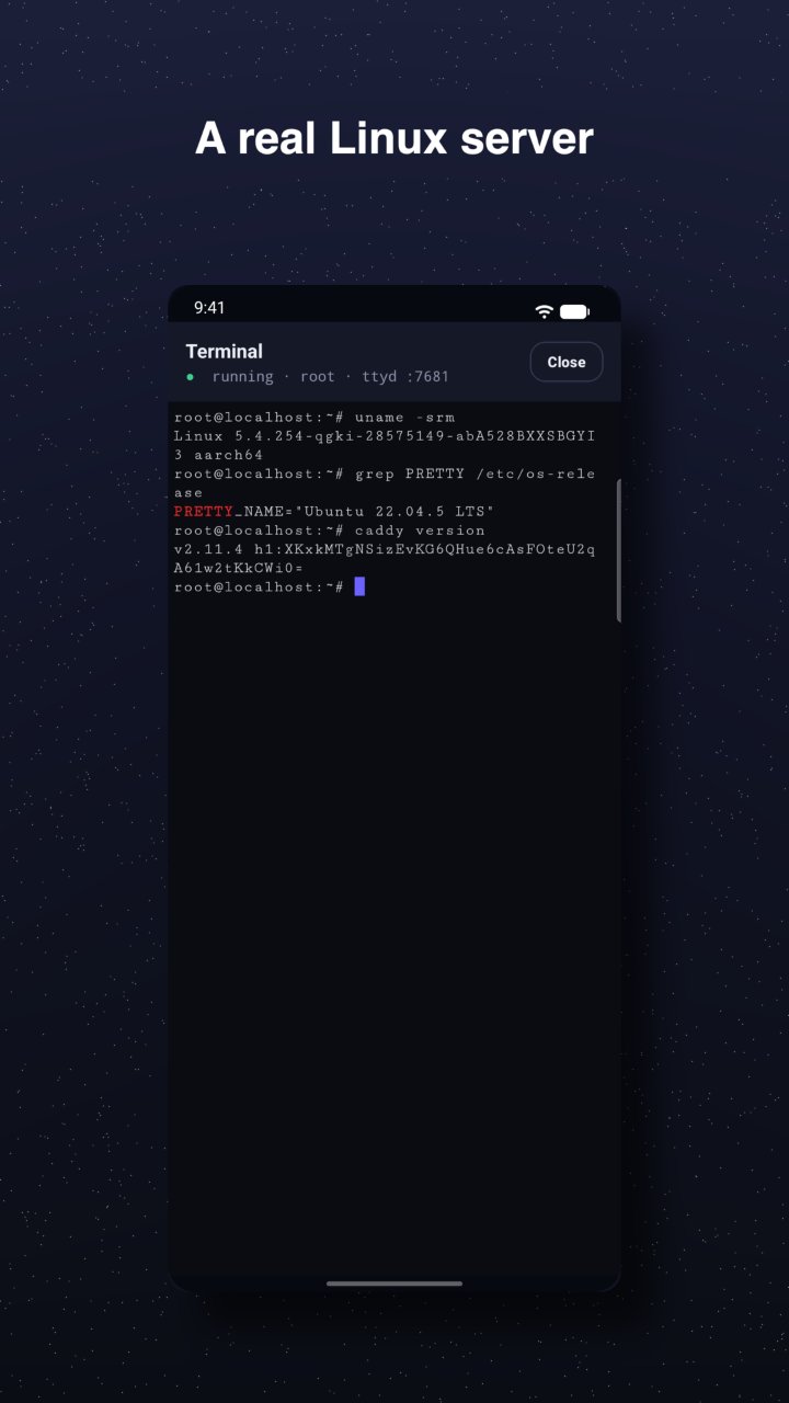 Terminal